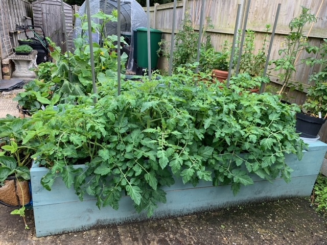 Scaffold board vegetable planter in Aldwick