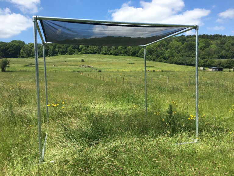 Scaffold tubes used as a sun shade for horses
