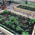 Scaffold Board Raised Bed Kits - Tanalised Timber