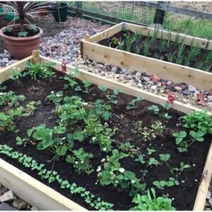 Scaffold Board Raised Bed Kits - Tanalised Timber
