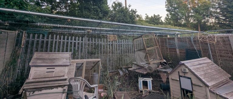 Three used 21ft scaffold tubes forming the overhead frame of a chicken run in a Milton Keynes garden, supporting wire netting above several wooden coops