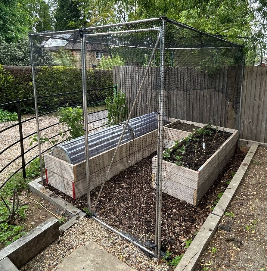 Wooden raised planters made from used scaffold boards, with soil and plants inside a mesh-covered garden enclosure.